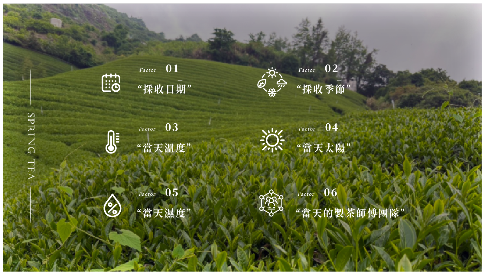 網站_商品圖_A008＿雜誌風-34