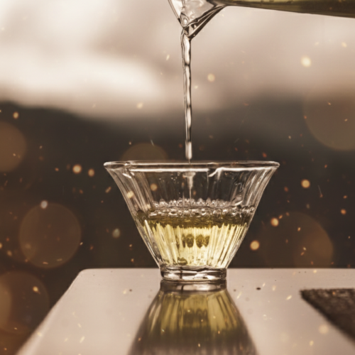 B005 焙火烏龍1 B005 焙火烏龍1